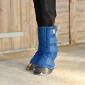 Equilibrium Equi-Chaps Stable Chaps - Pair